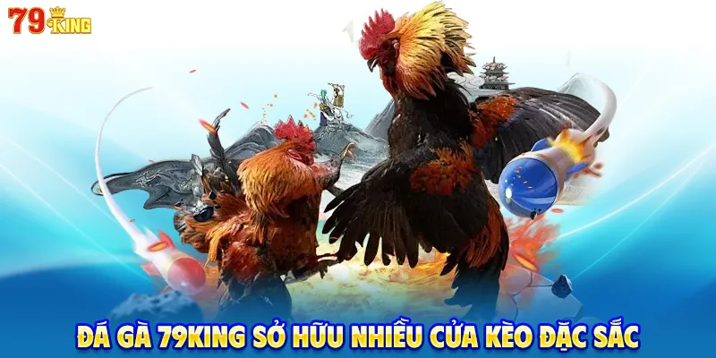 Đá gà 79KING sở hữu nhiều cửa kèo đặc sắc