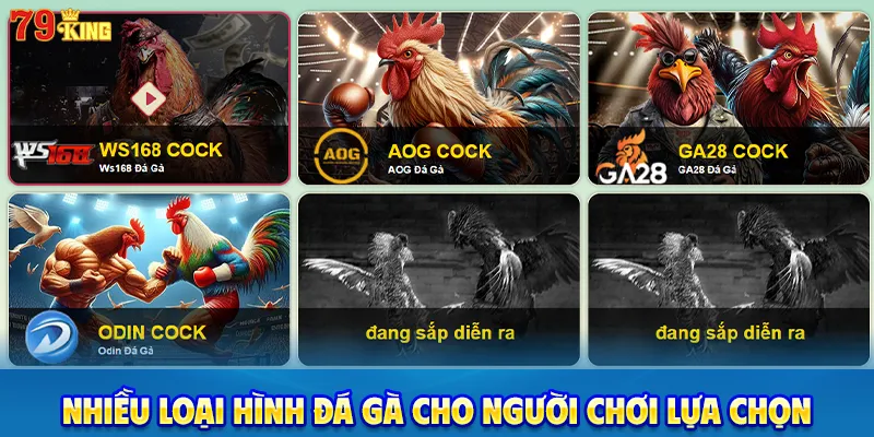 Nhiều loại hình đá gà cho người chơi lựa chọn